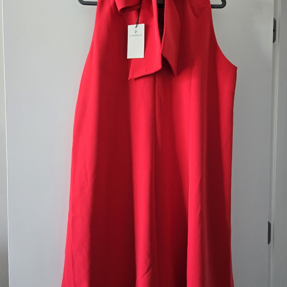 Tuckernuck xxxl mini party dress in red - Picture 10 of 12